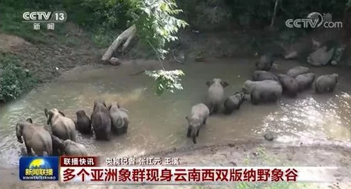 卖婬的中国妓女BBwiiZZ：社会现象背后的深层次问题与女性权益的思考