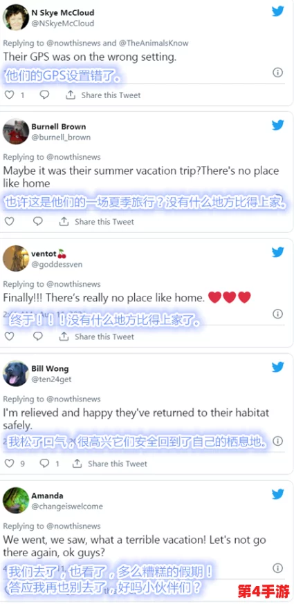 大象回家永久不迷路2024：用户称赞其使用简便，导航精准，值得信赖的好帮手！