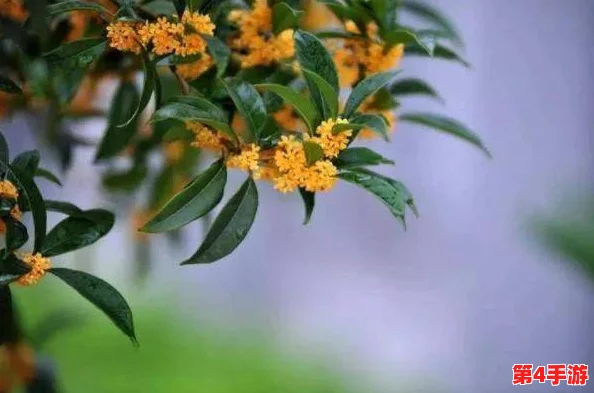 杨大壮和田桂花的恋情曝光，背后竟隐藏着不为人知的秘密与恩怨，引发网友热议！
