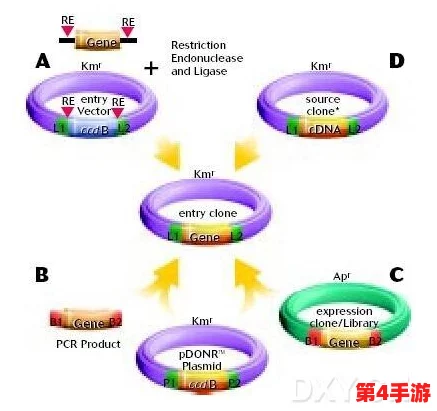 系统需要收集n多精，网友猜测是为了进行DNA克隆技术的实验