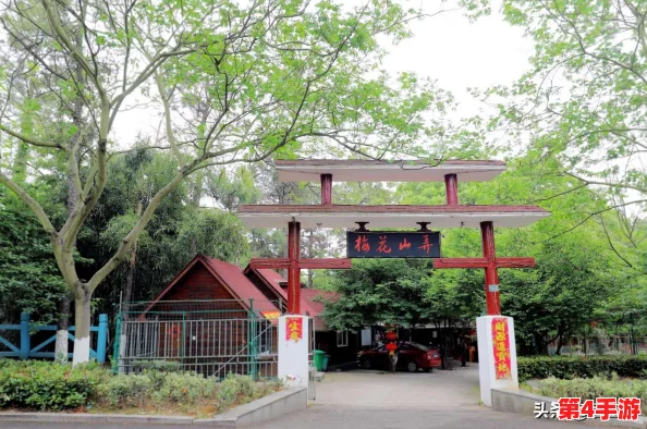 平民逆袭！热血传奇手机版卧龙山庄全攻略：零氪通关技巧与策略大公开