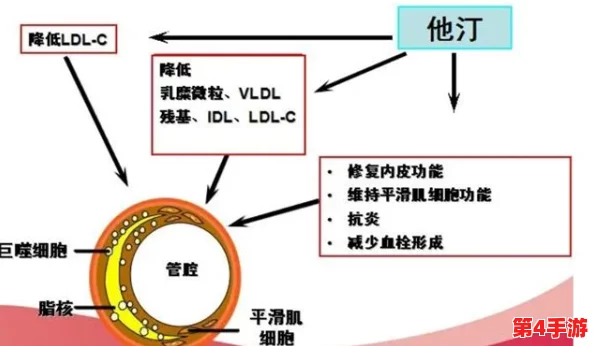 佳柔和医院长第7：在医疗服务中，如何平衡患者需求与医院管理的挑战与机遇分析