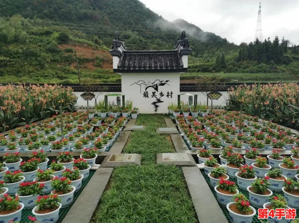 精准灌溉系统y液收集系统在农业生产中的应用与技术优势分析
