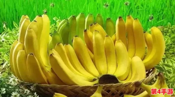伊香蕉：网友看法纷纷，认为其口感独特且营养丰富，但也有人质疑其价格过高是否值得购买