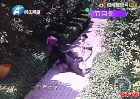 色狗导航：传闻某知名博主因使用该应用被曝光，背后隐藏的秘密让人震惊！