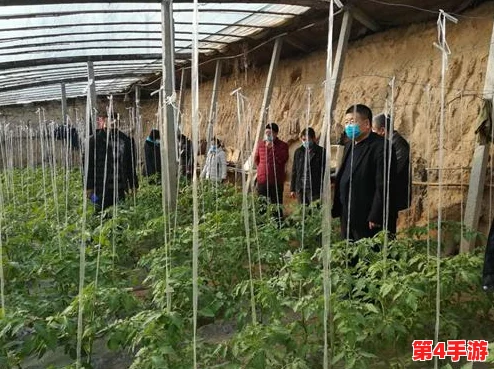 草莓丝瓜的营养价值与种植技巧分析,探讨其在现代饮食中的独特地位与健康益处 草莓丝瓜的营养价值与种植技巧分析,探讨其在现代饮食中的独特地位与健康益处