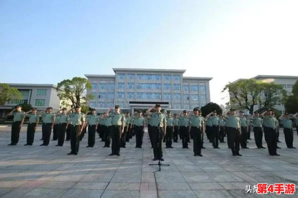 4虎网永久：探索网络安全与用户隐私保护的重要性，助力构建更安全的数字环境和健康的在线社区