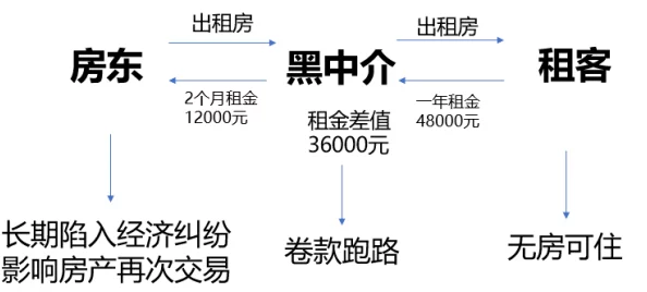 海角社区的房东封神：揭示当地房产市场的变化与租客需求的演变