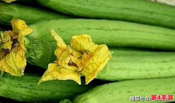 草莓丝瓜芭乐鸭脖奶茶的装饰元素：探讨如何通过色彩搭配和创意摆放提升饮品的视觉吸引力与美感