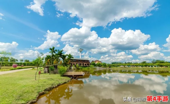 黄91：解析这一重要年份对中国历史发展与社会变革的深远影响及其背后的历史背景