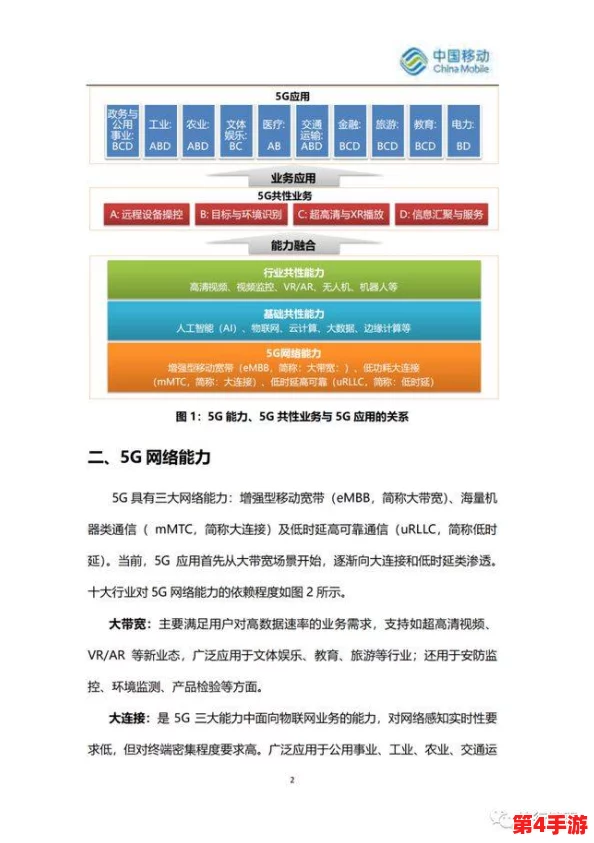 软件操控在现代信息技术中的应用与发展：从基础理论到实际案例分析的全面研究