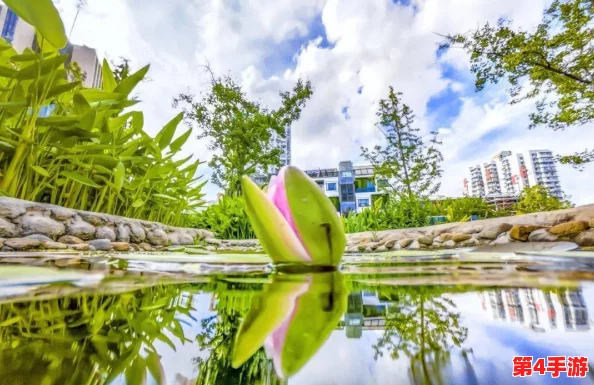 高考前给了孩子一次性减压，网友纷纷表示支持，认为适度的放松能帮助学生更好地应对考试压力