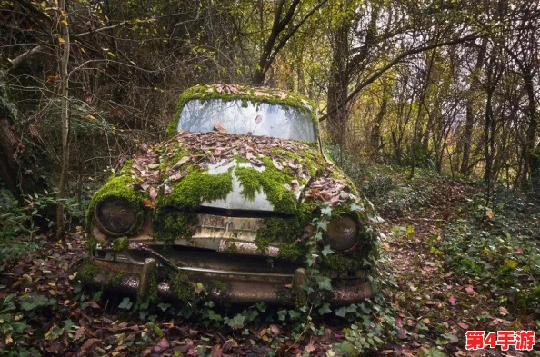 法国老人做交易森林，引发网友热议：有人认为这是保护环境的创新方式，也有人担心可能带来的生态风险