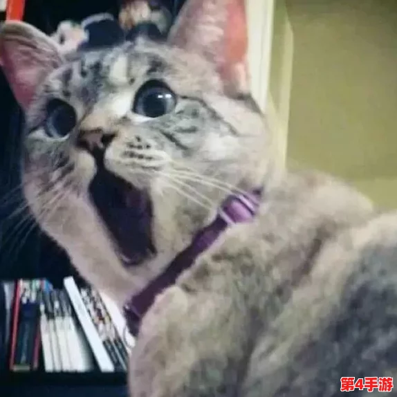 猫咪最新永久地域网名：探索可爱猫咪在网络世界中的独特身份与个性化表达方式