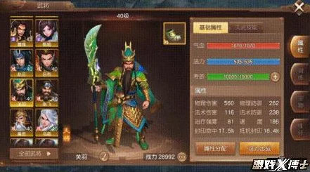 三国如龙传：精英武将养成策略与个性化发展心得指南