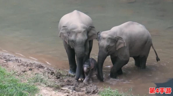 欧洲人与亚洲人的DNA对比研究:遗传多样性、迁徙历史与人群起源的综合分析 欧洲人与亚洲人的DNA对比研究:遗传多样性、迁徙历史与人群起源的综合分析