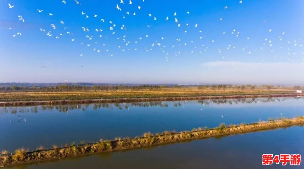 澧色母1-6:新进展揭示其在生态保护与可持续发展中的重要作用与应用前景 澧色母1-6:新进展揭示其在生态保护与可持续发展中的重要作用与应用前景